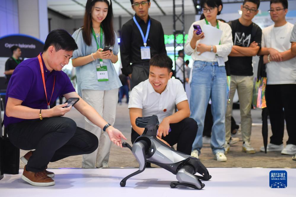 乐游棋牌图片